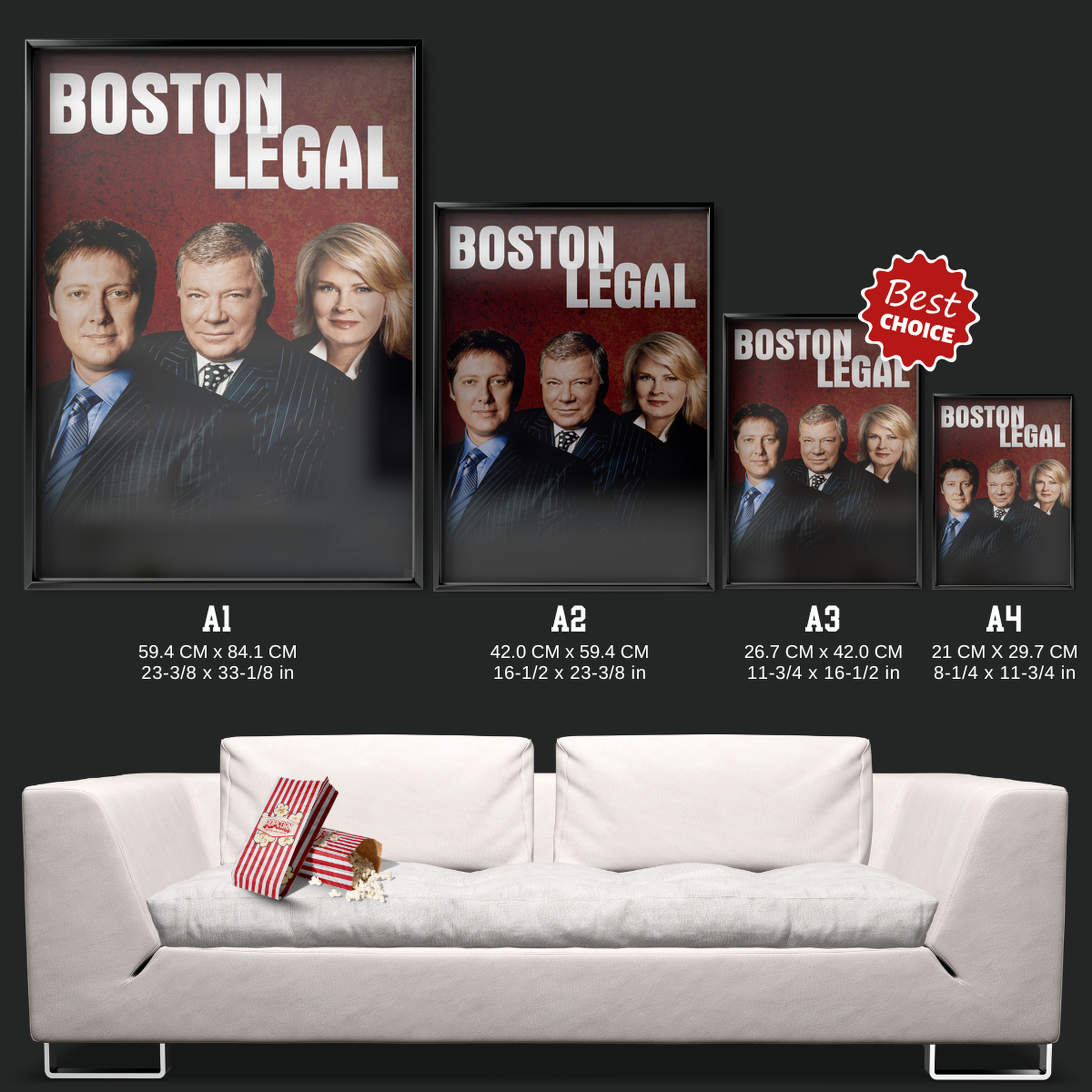 Boston Legal (2004)