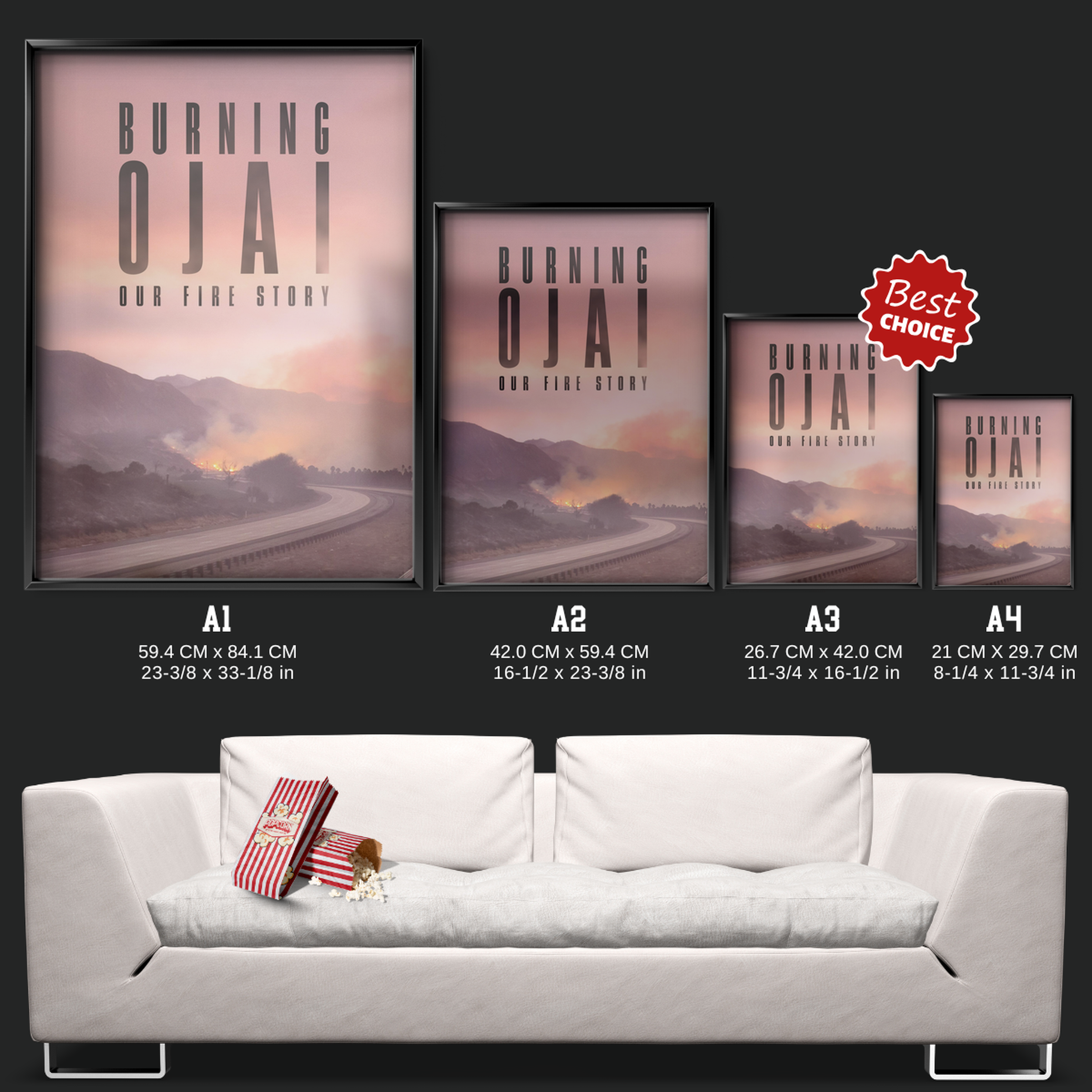 Burning Ojai Our Fire Story (2020)