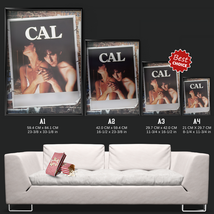 Cal (1984)