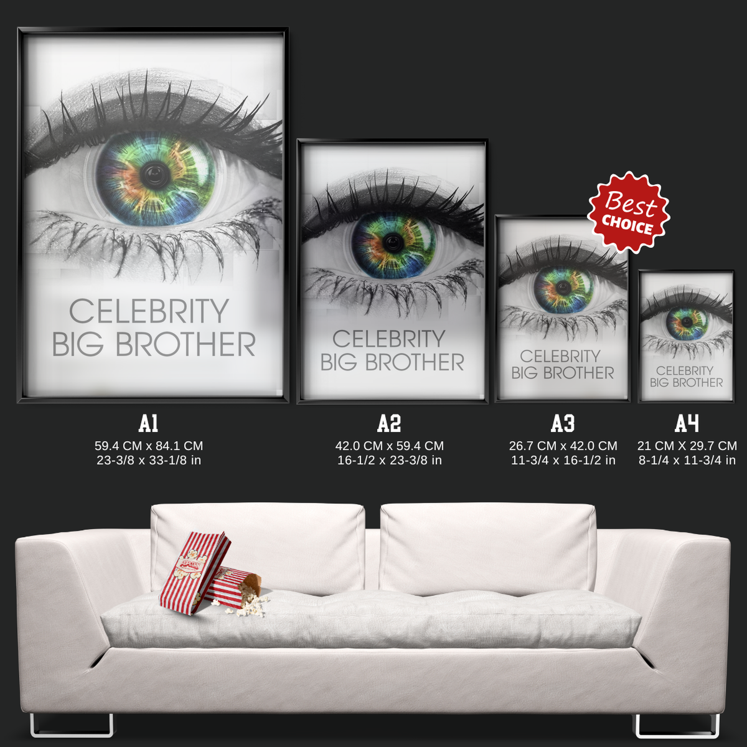 Celebrity Big Brother (2001)