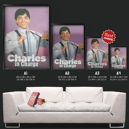 Charles In Charge (1984)