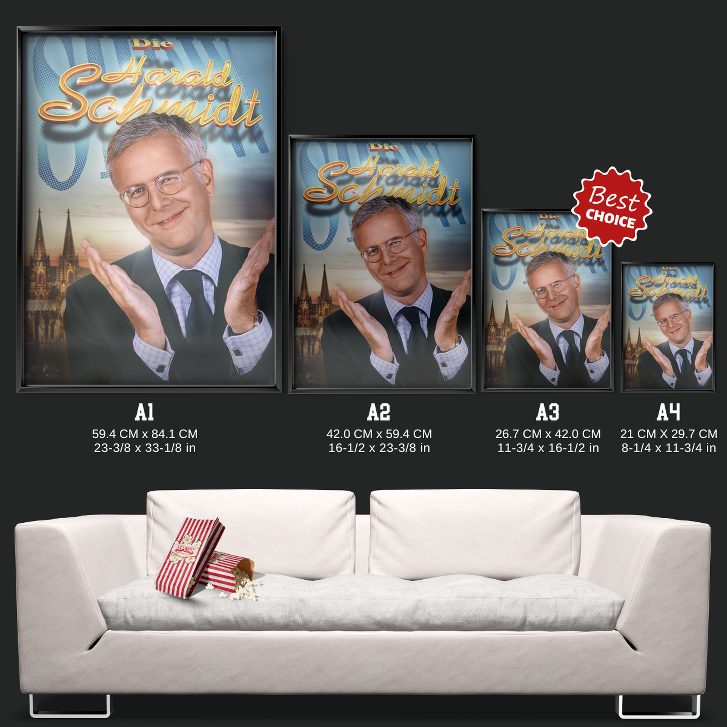 Die Harald Schmidt Show (1995)