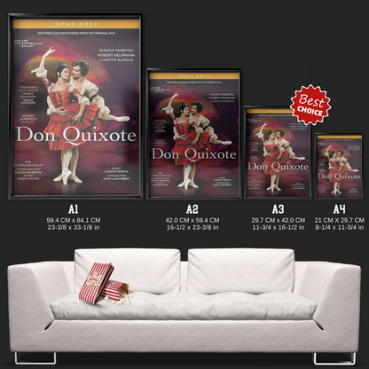 Don Quixote (1973)