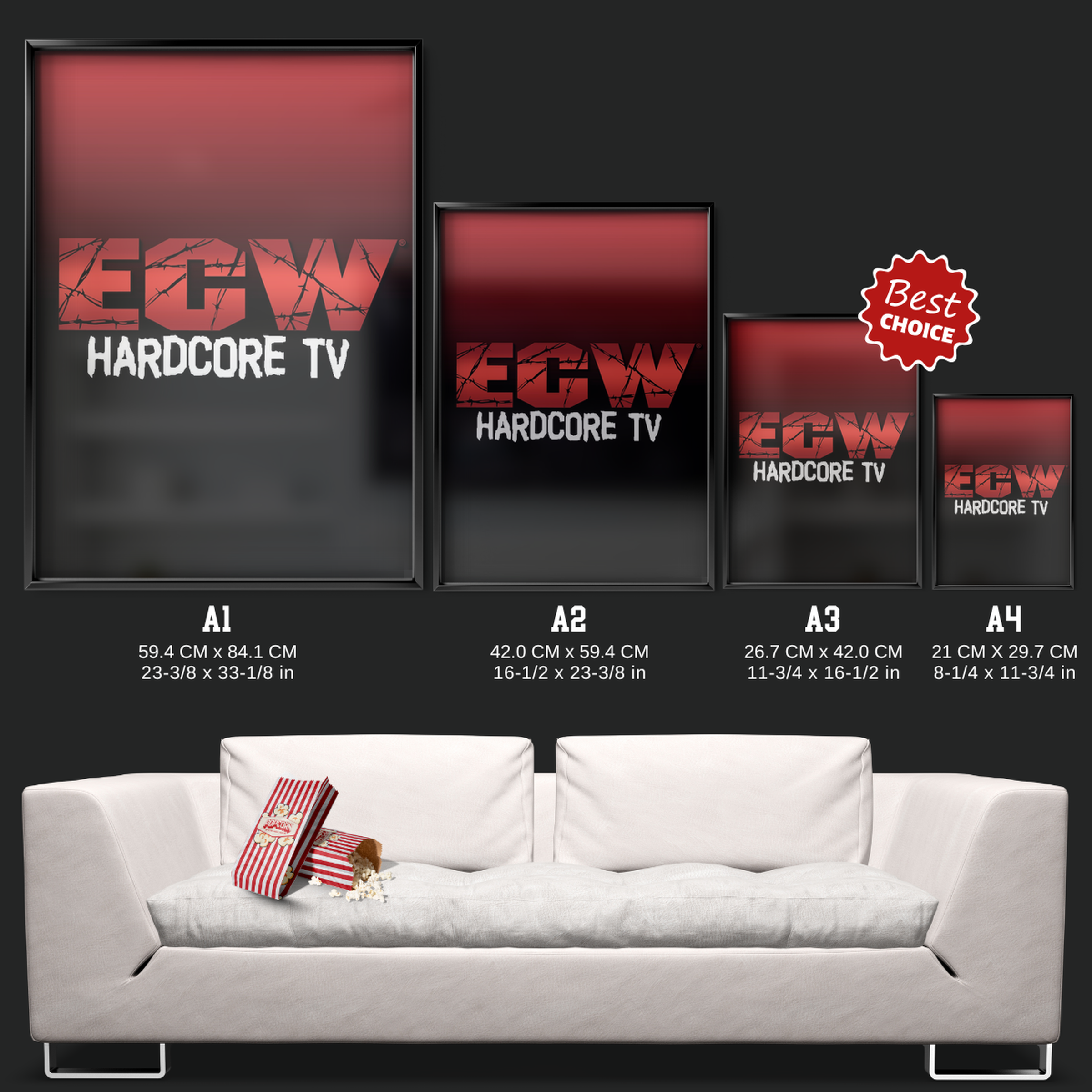 Ecw Hardcore Tv (1993)