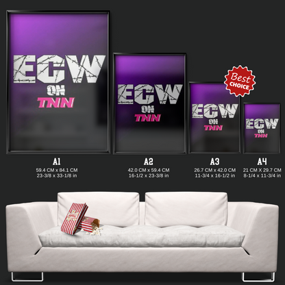 Ecw On Tnn (1999)