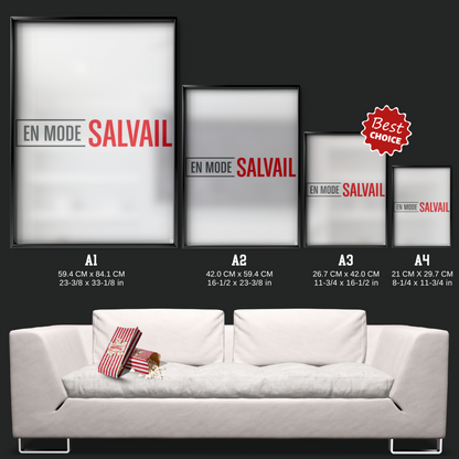 En Mode Salvail (2013)