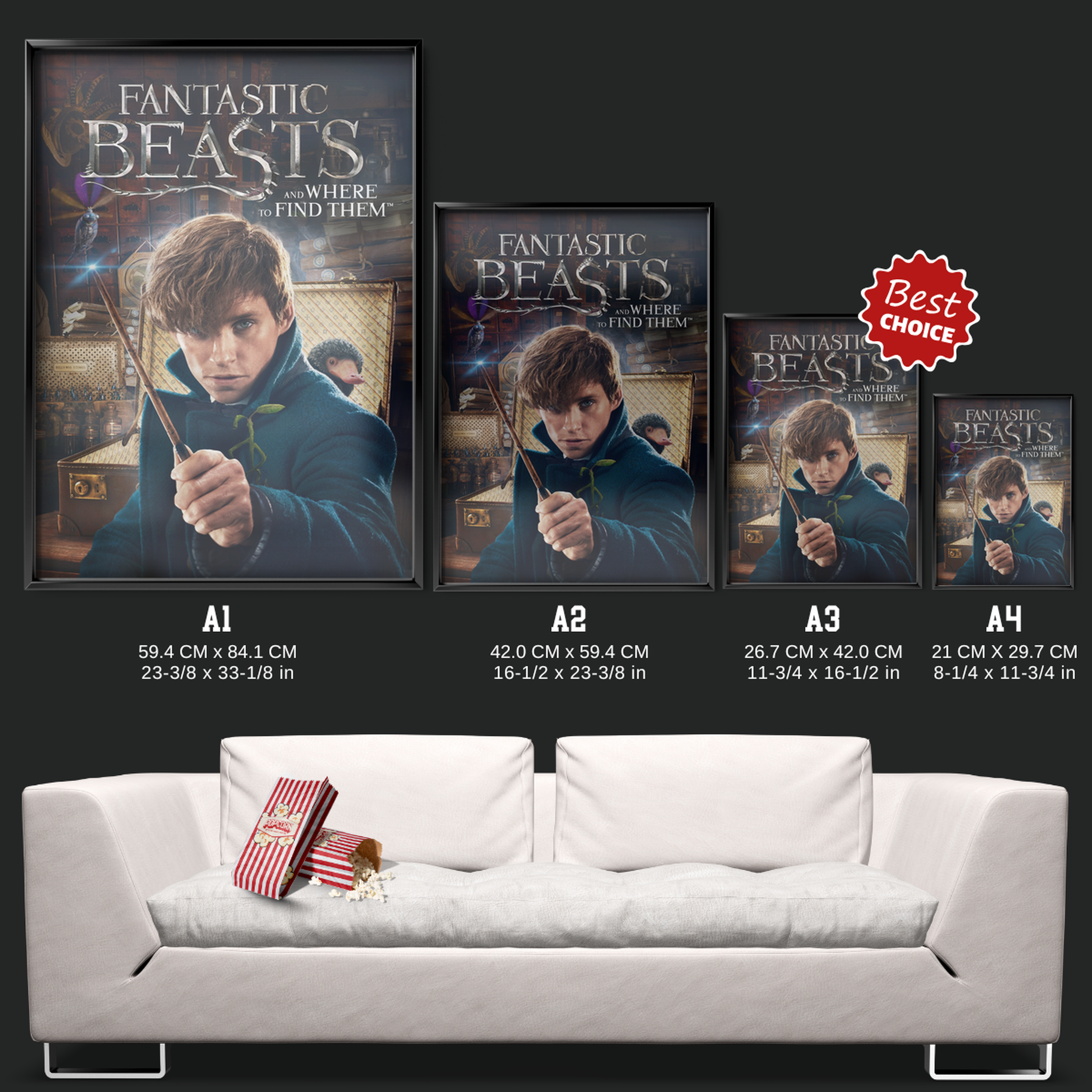 Fantastic Beasts And Where To Find Them (2016)