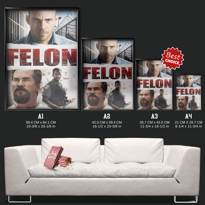 Felon (2008)