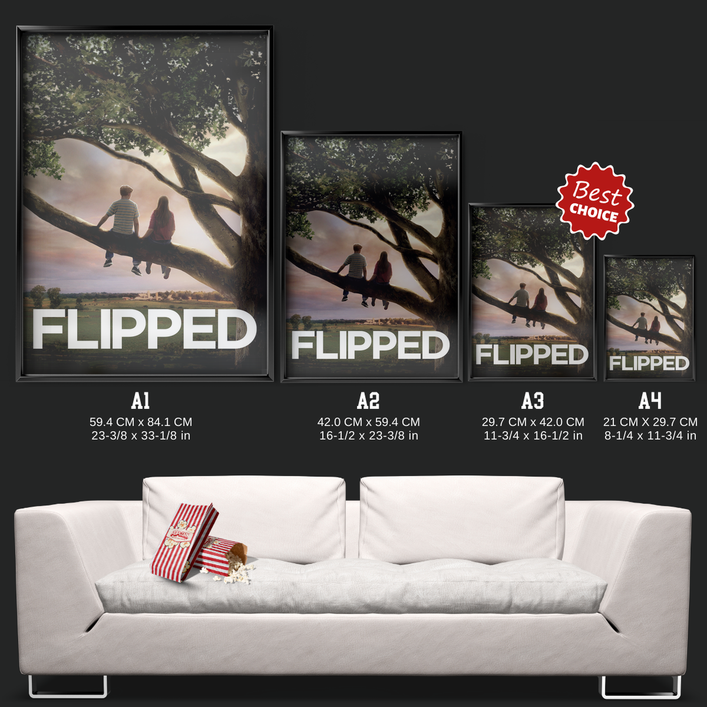 Flipped (2010)