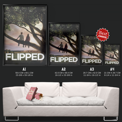Flipped (2010)