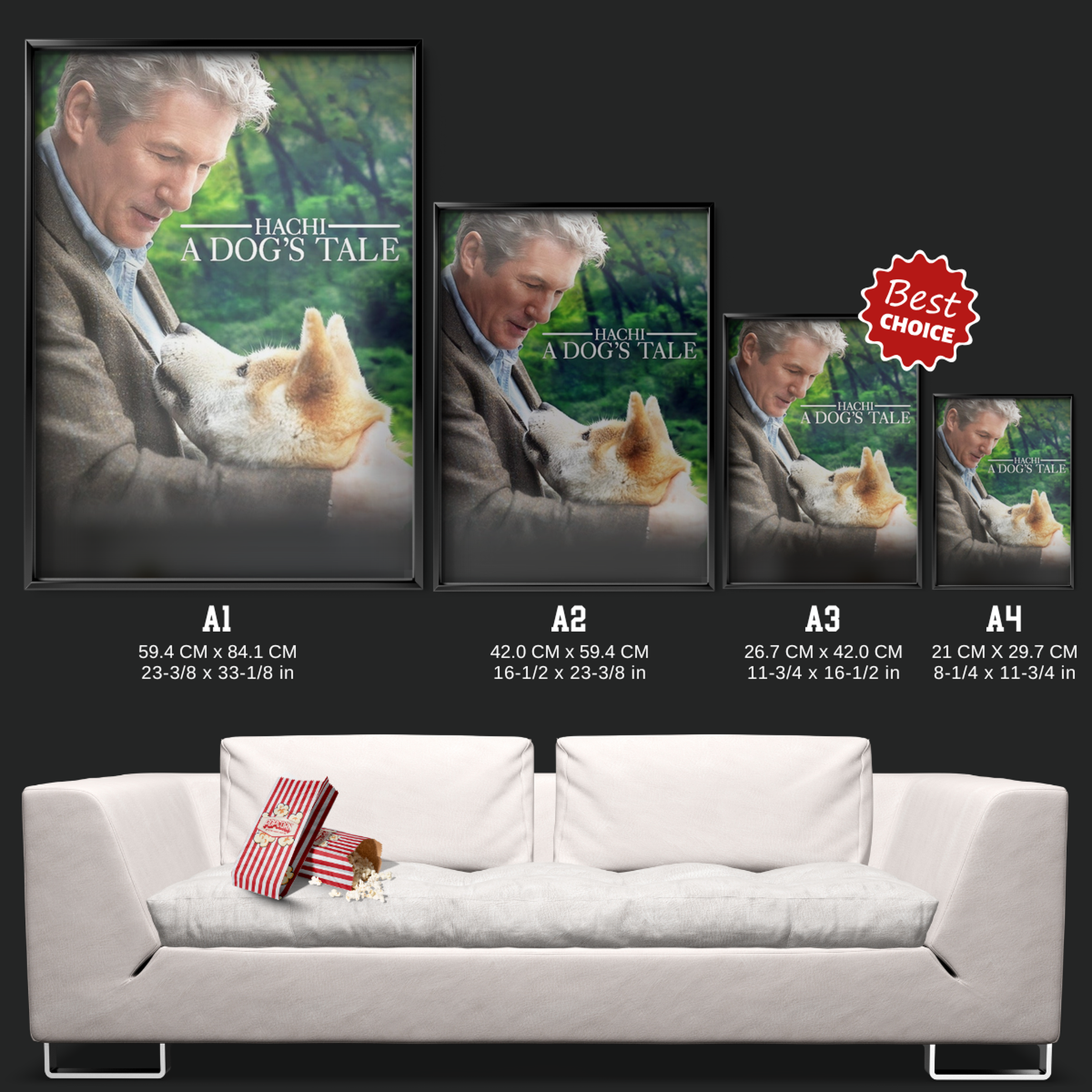 Hachi A Dog's Tale (2009)