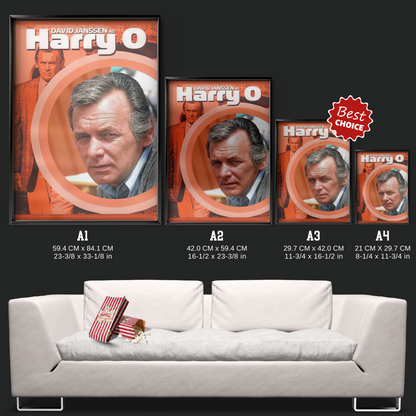 Harry O (1974)