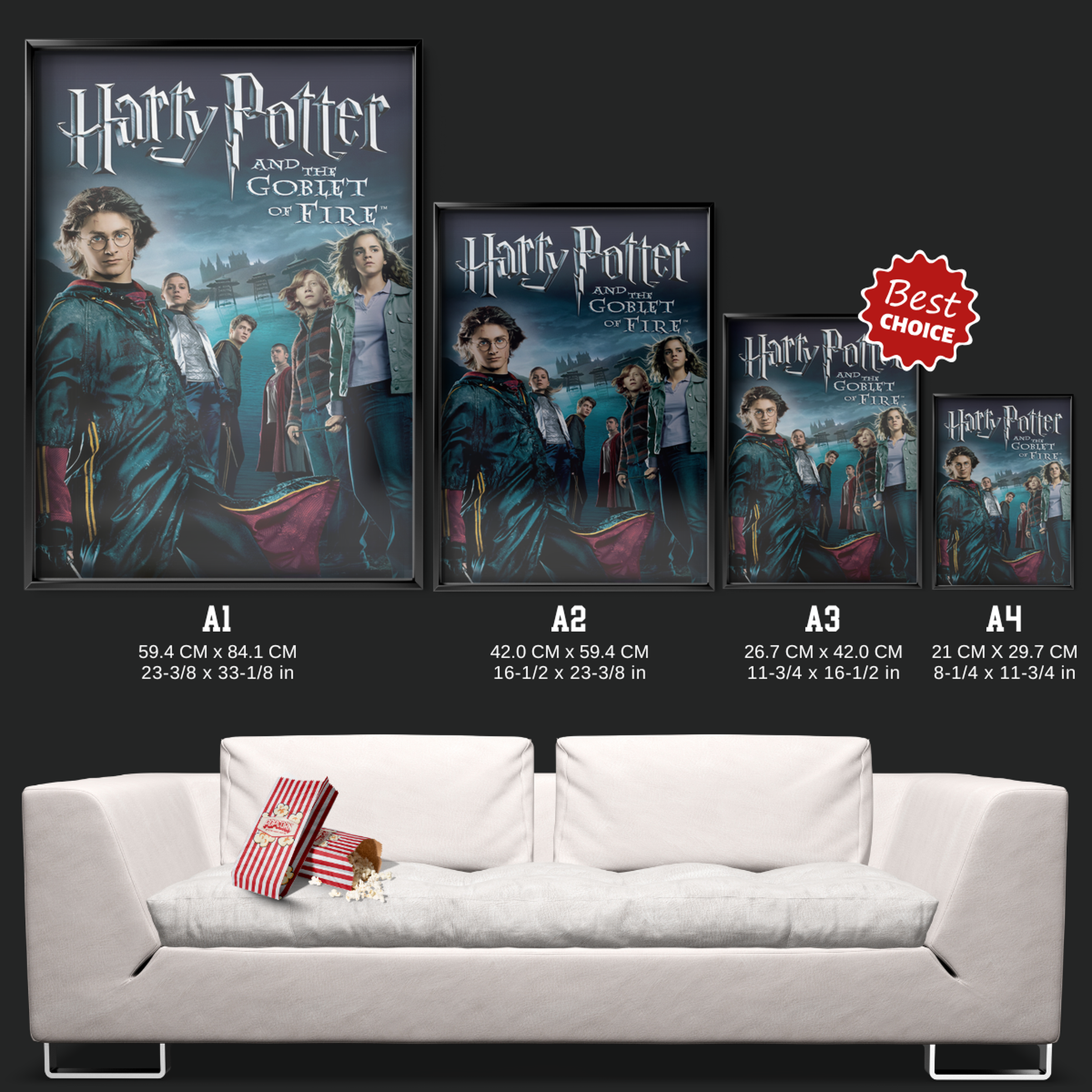 Harry Potter And The Goblet Of Fire (2005)