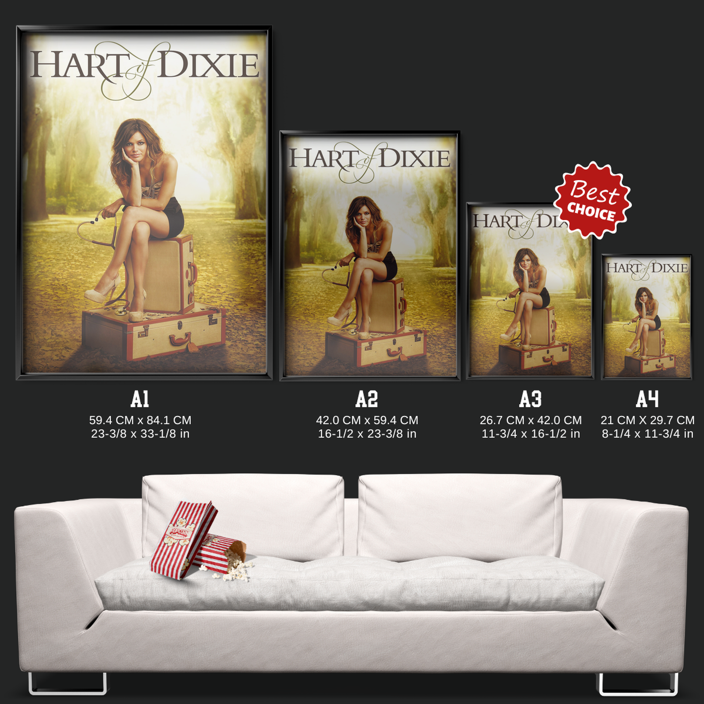 Hart Of Dixie (2011)
