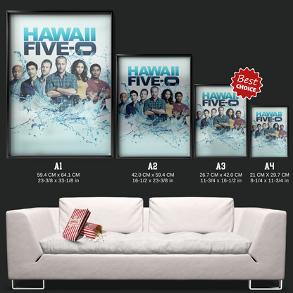 Hawaii Five 0 (2010)