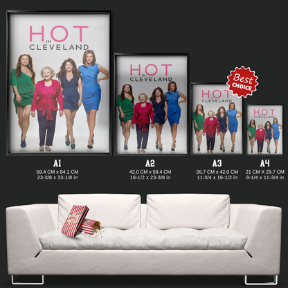 Hot In Cleveland (2010)