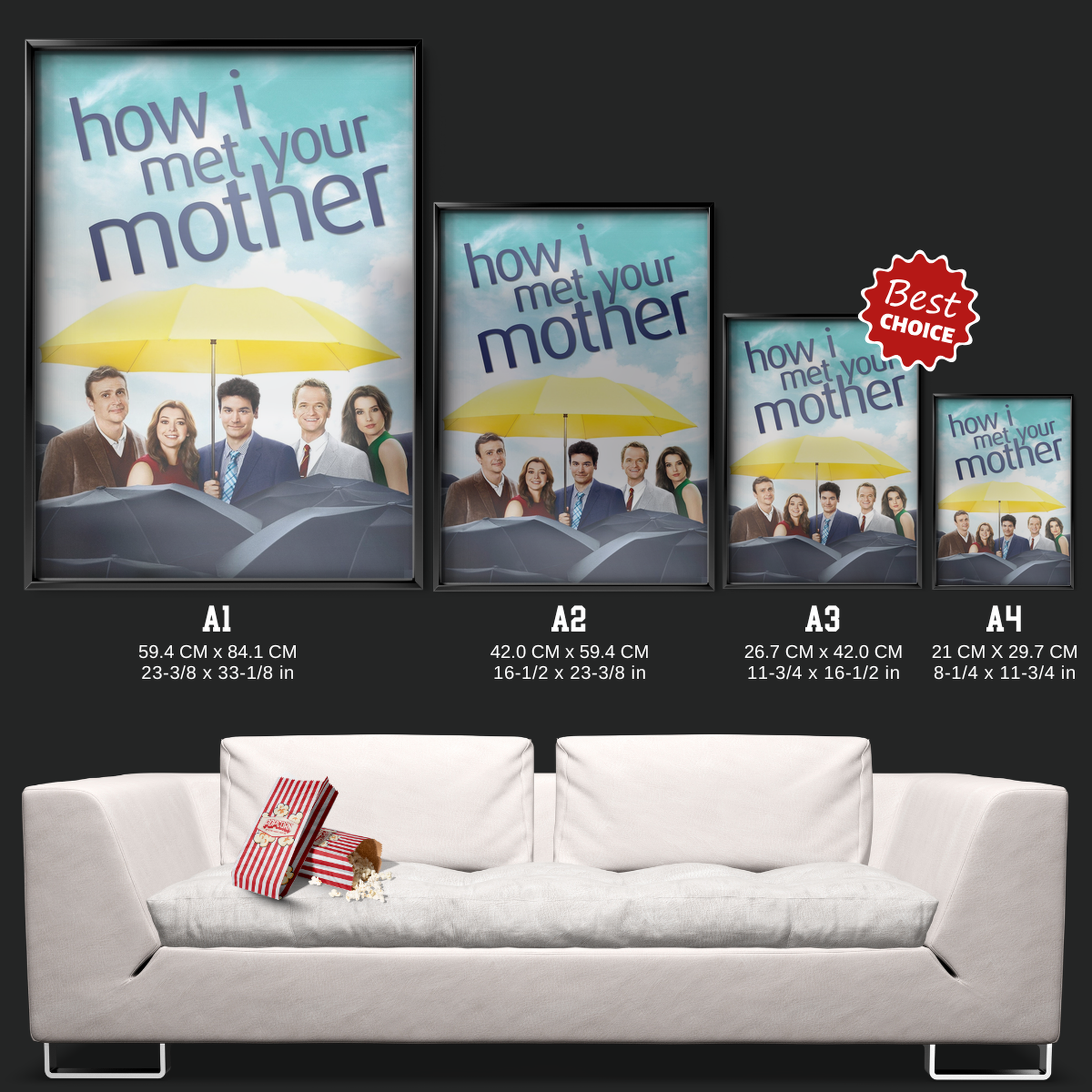 How I Met Your Mother (2005)