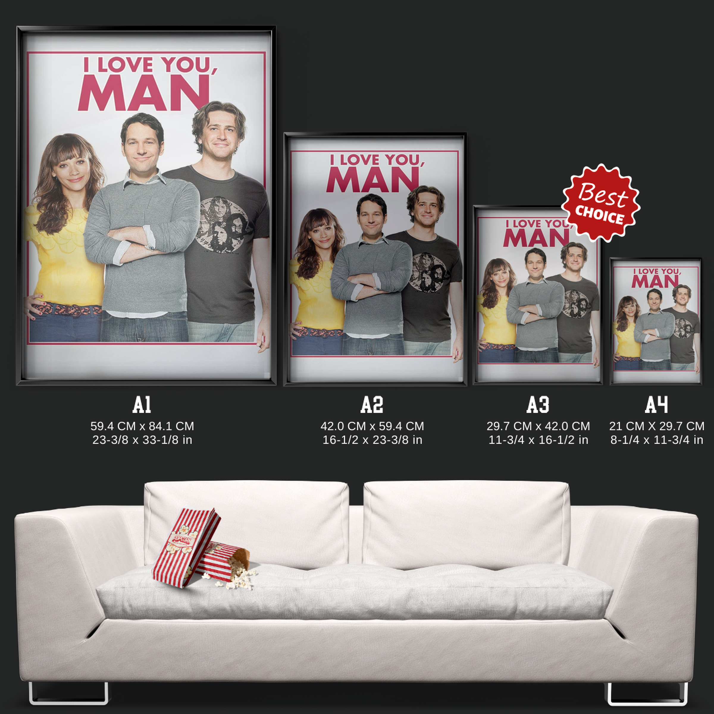 I Love You, Man (2009)