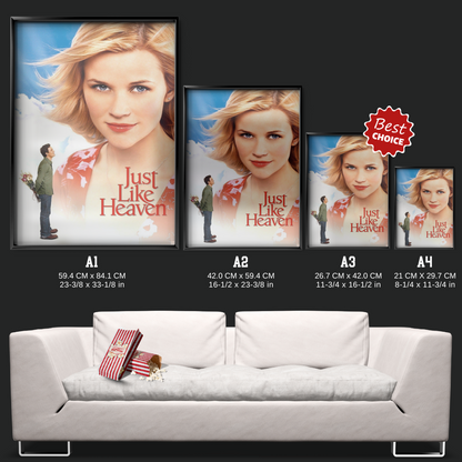 Just Like Heaven (2005)