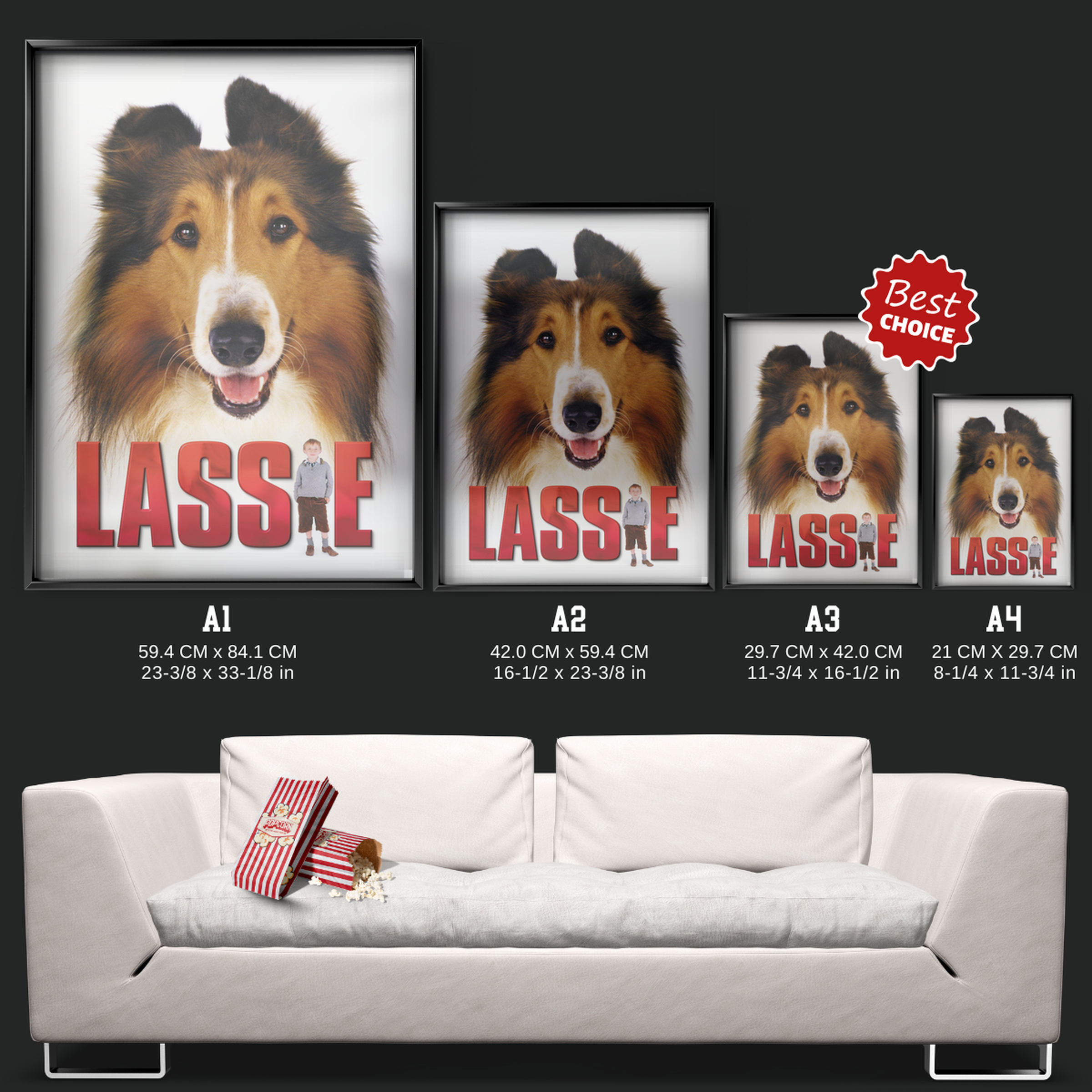 Lassie (2005)