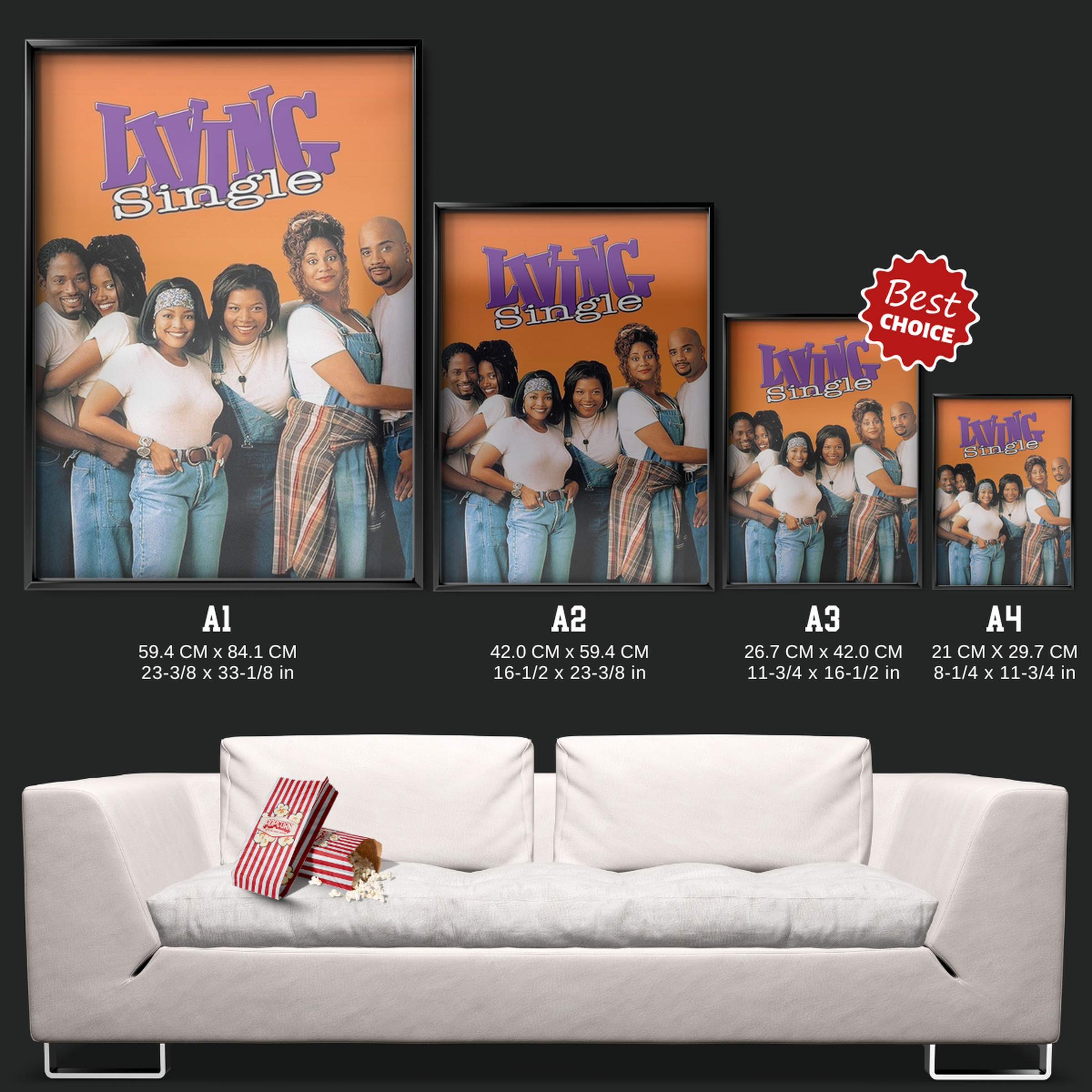 Living Single (1993)