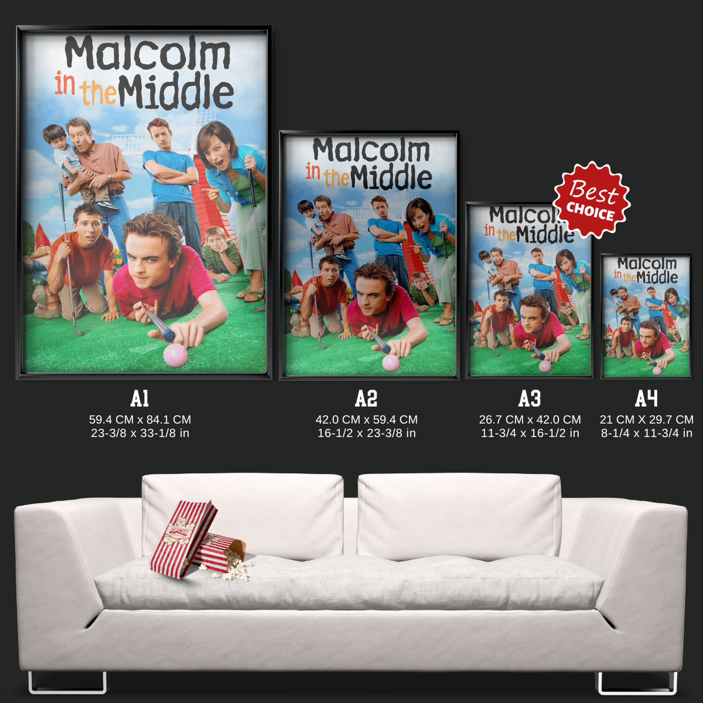 Malcolm In The Middle (2000)