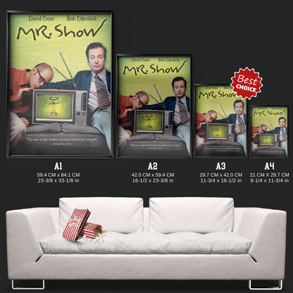 Mr. Show With Bob And David (1995)