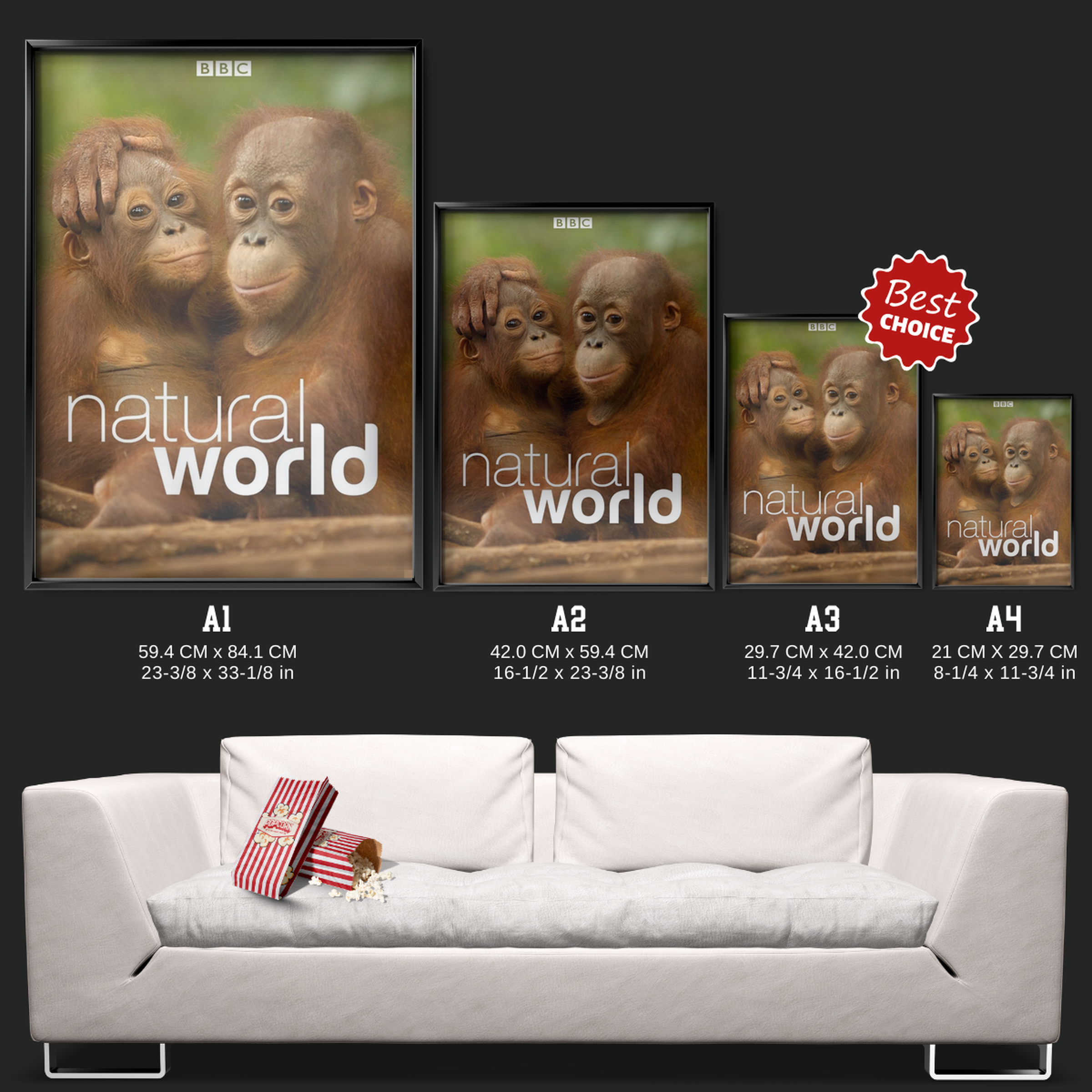Natural World (1983)