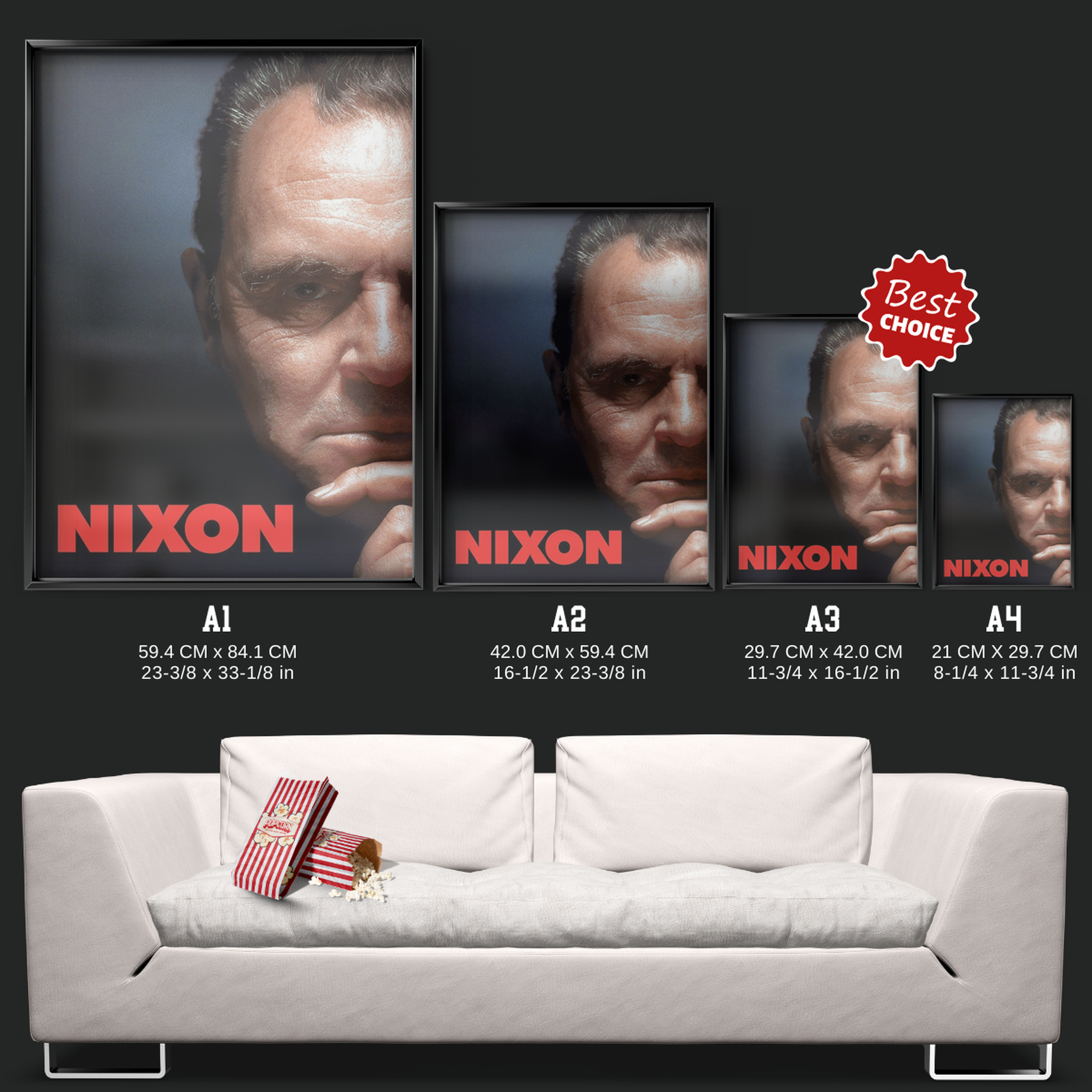 Nixon (1995)