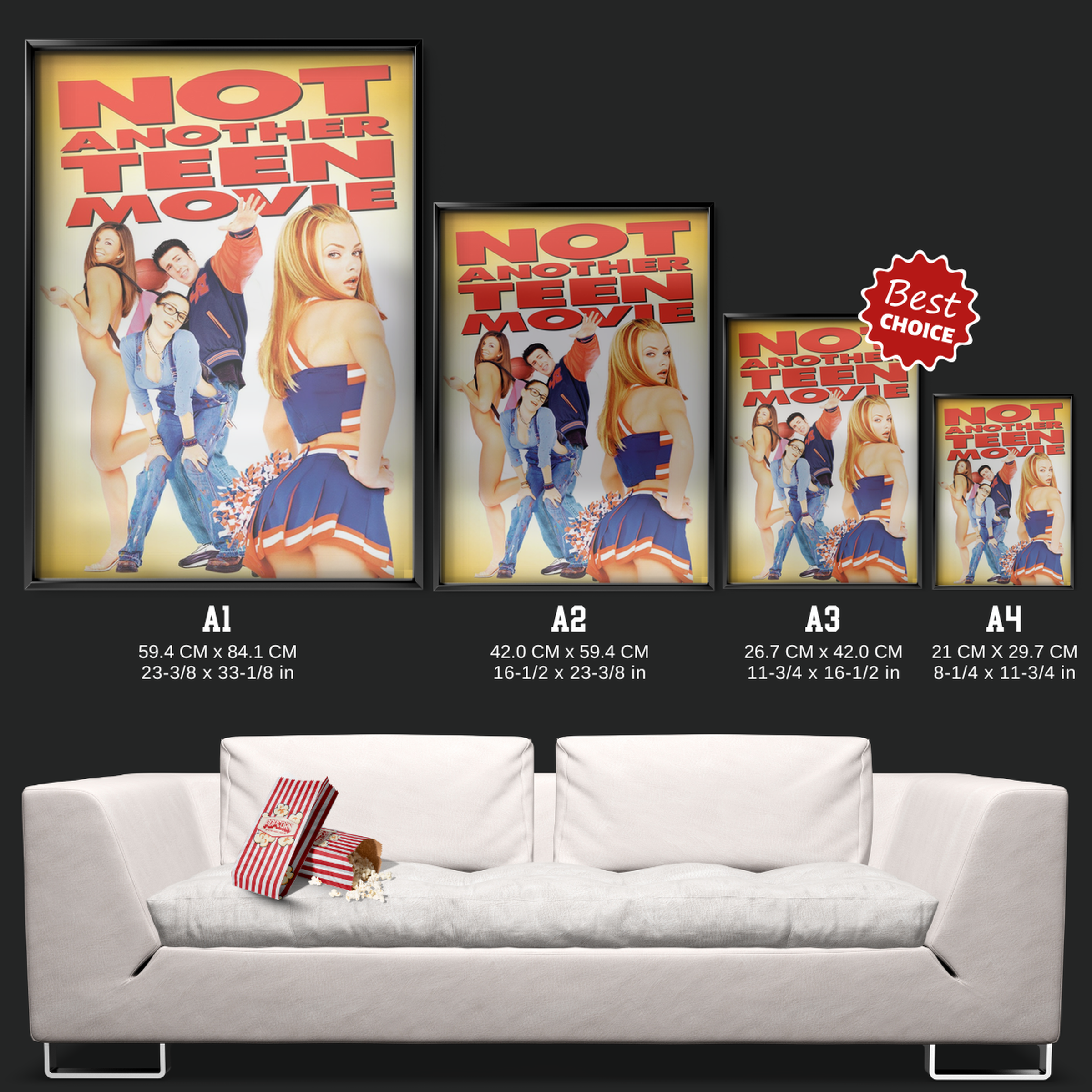 Not Another Teen Movie (2001)