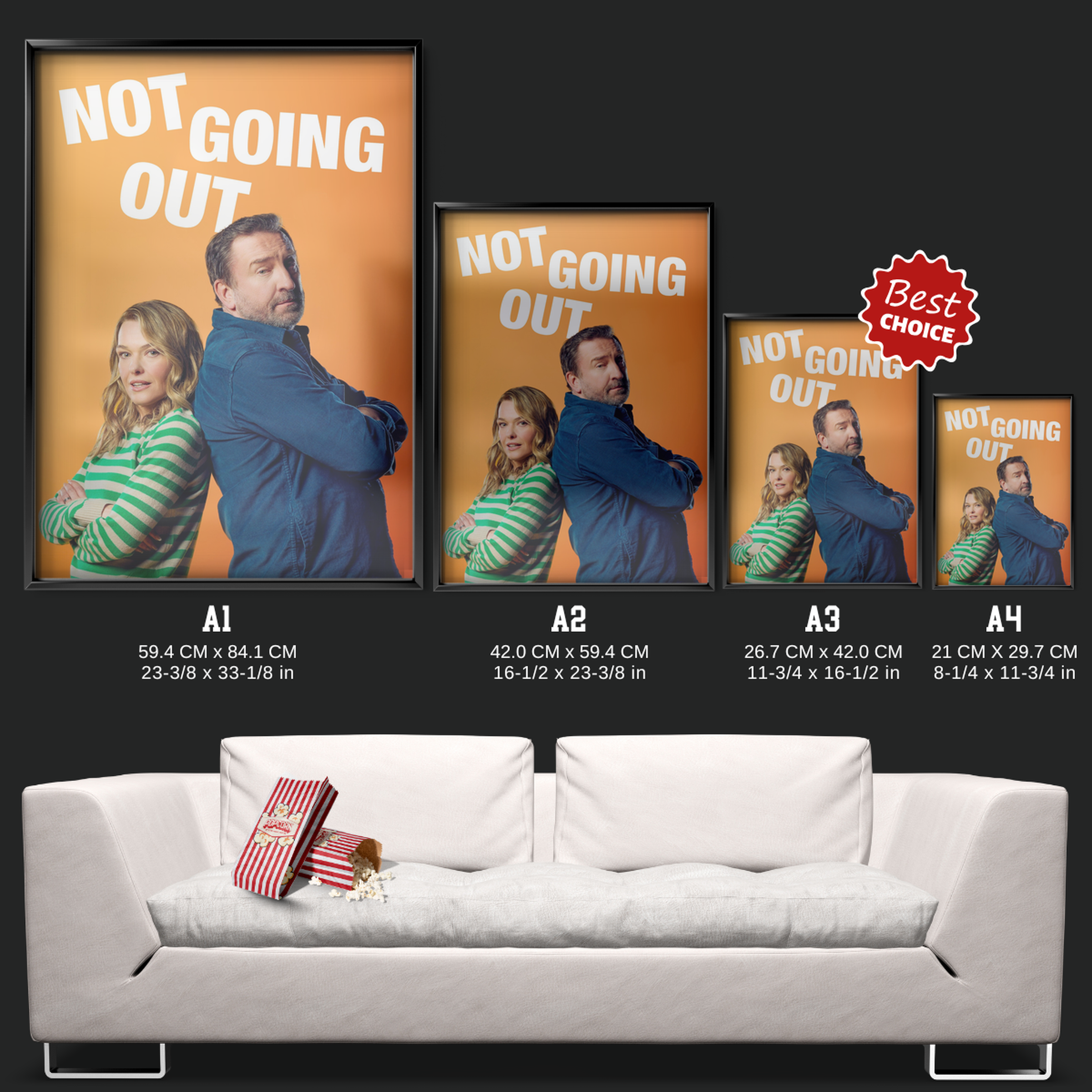 Not Going Out (2006)