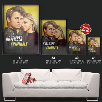 November Criminals (2017)