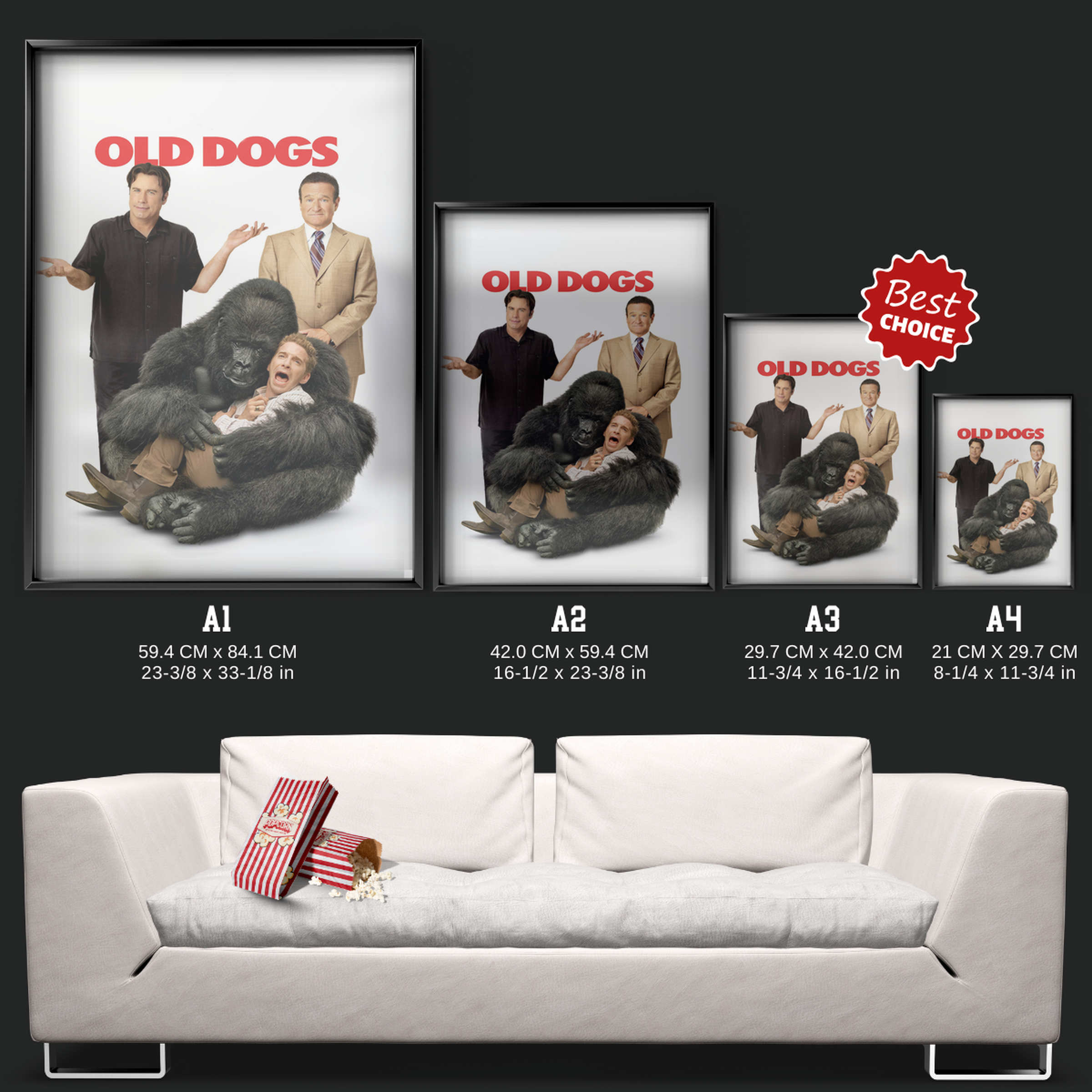Old Dogs (2009)