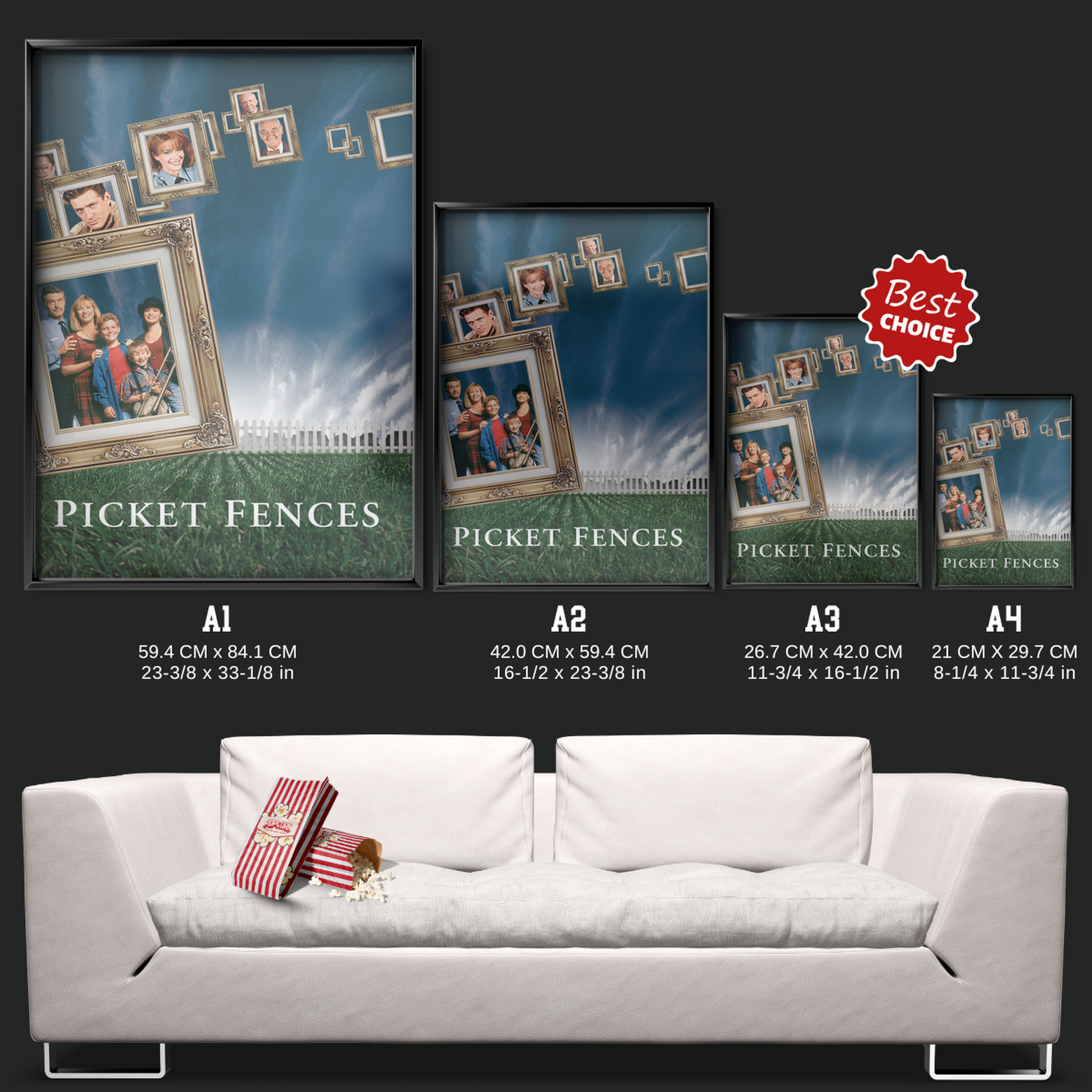 Picket Fences (1992)