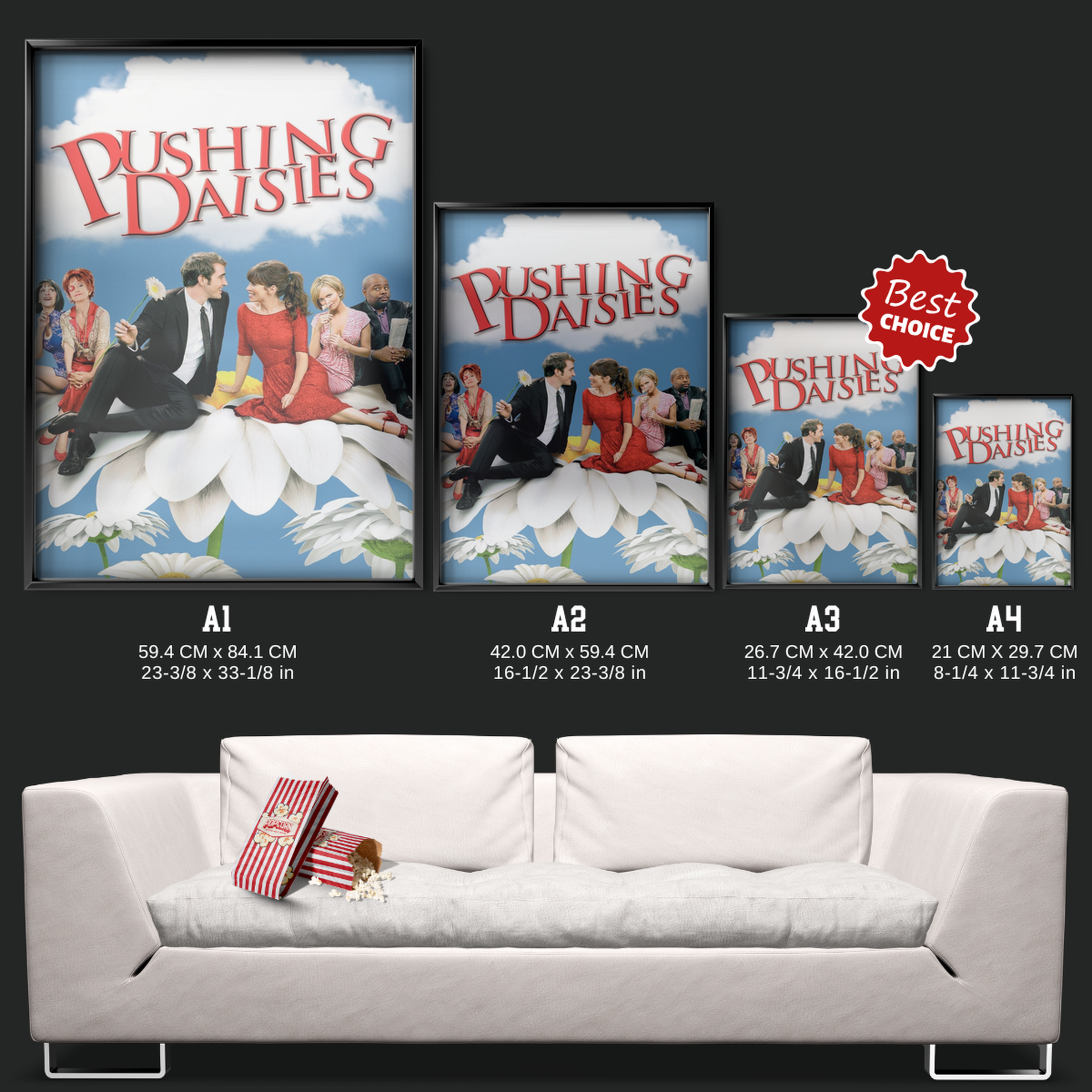 Pushing Daisies (2007)