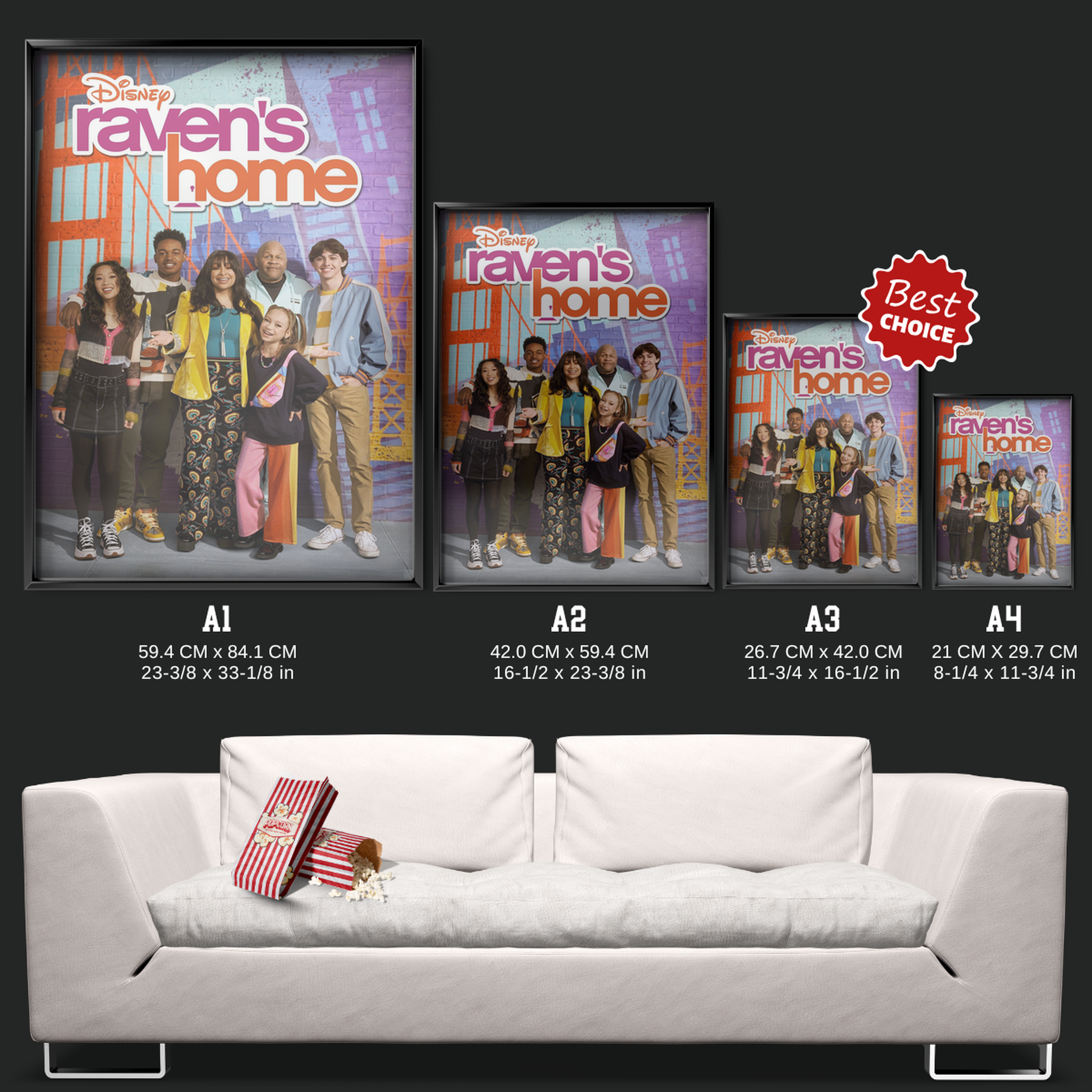 Raven's Home (2017)