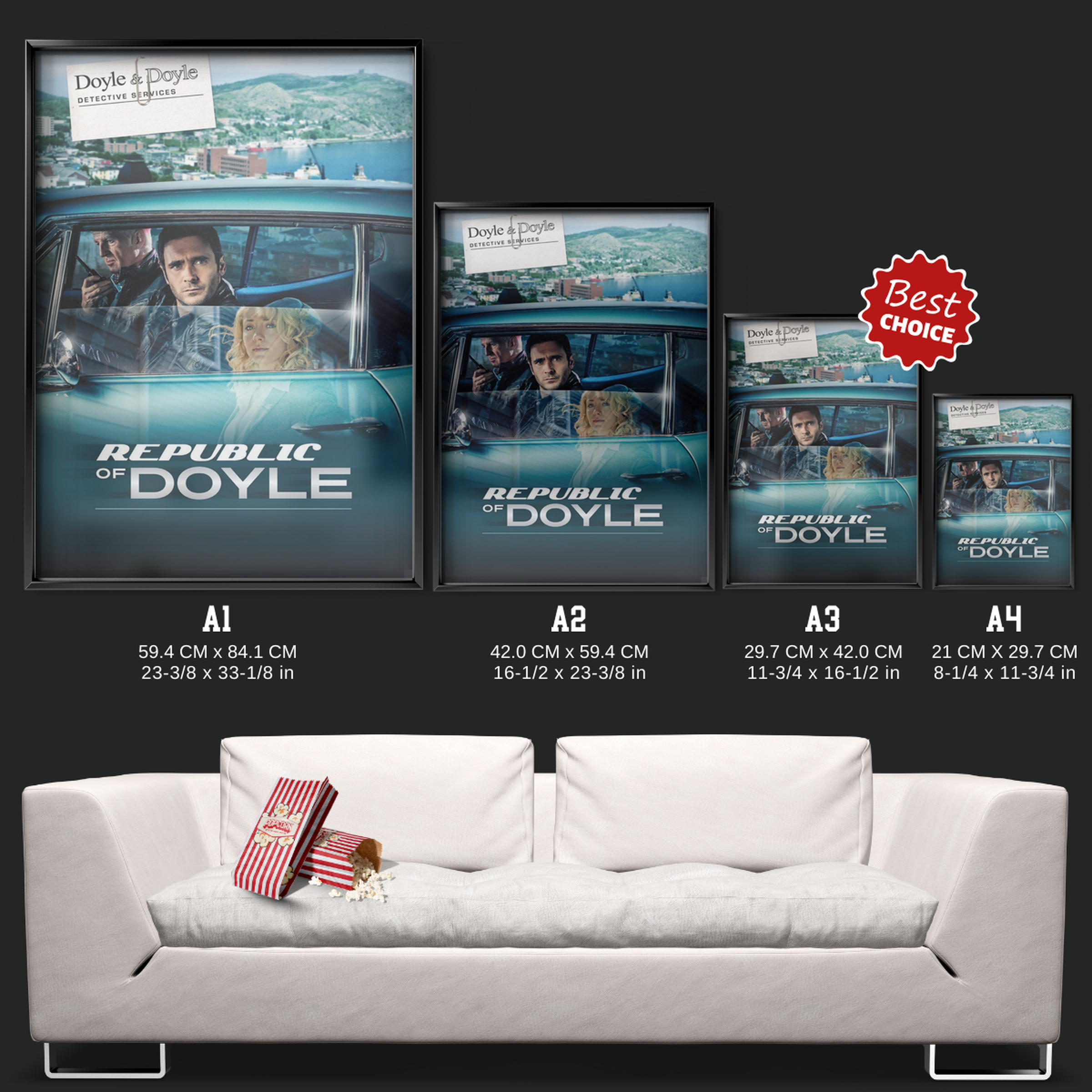 Republic Of Doyle (2010)