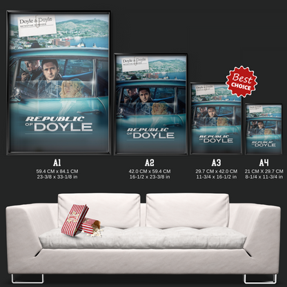 Republic Of Doyle (2010)