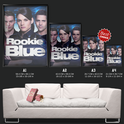 Rookie Blue (2010)
