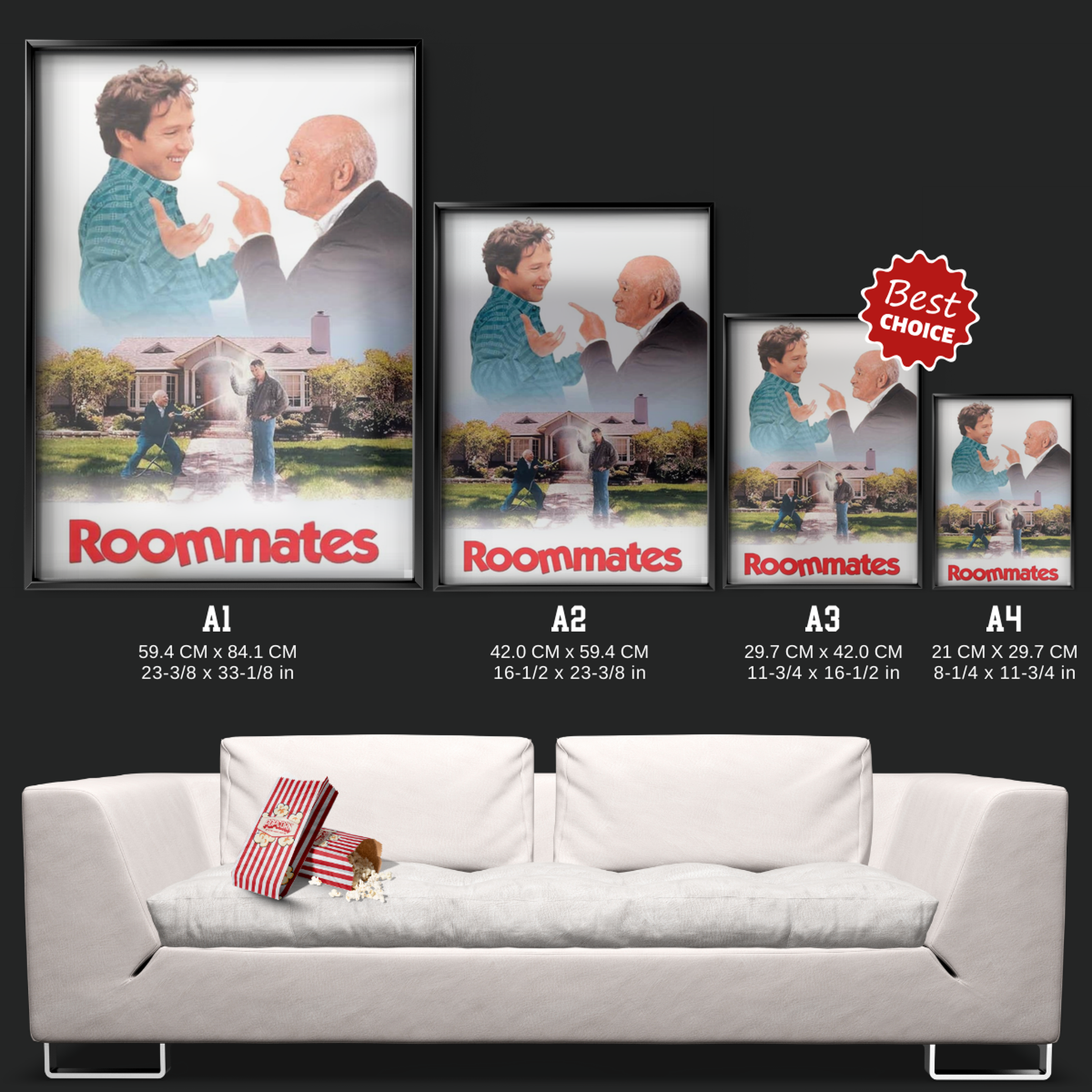 Roommates (1995)