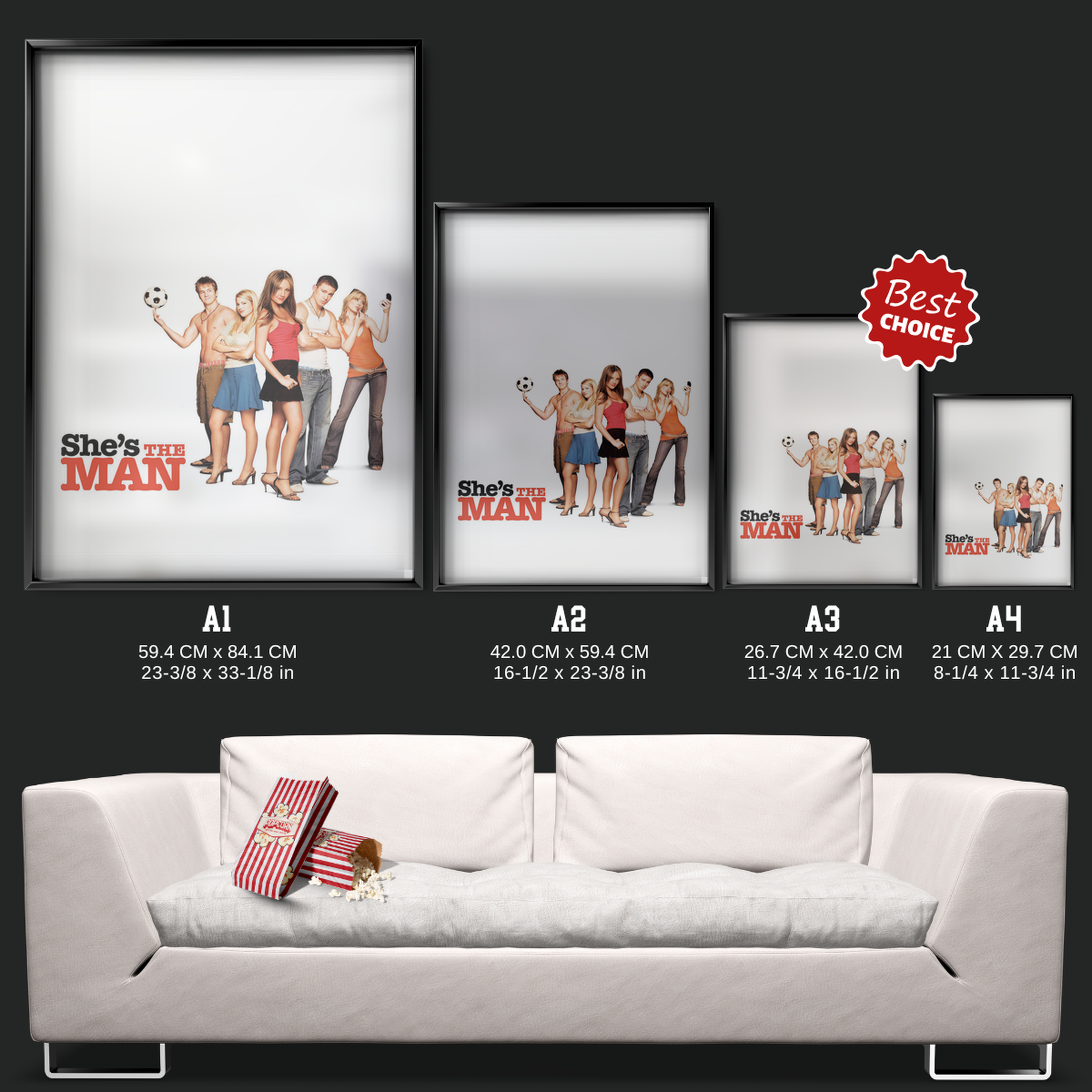 She's The Man (2006)