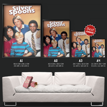 Silver Spoons (1982)
