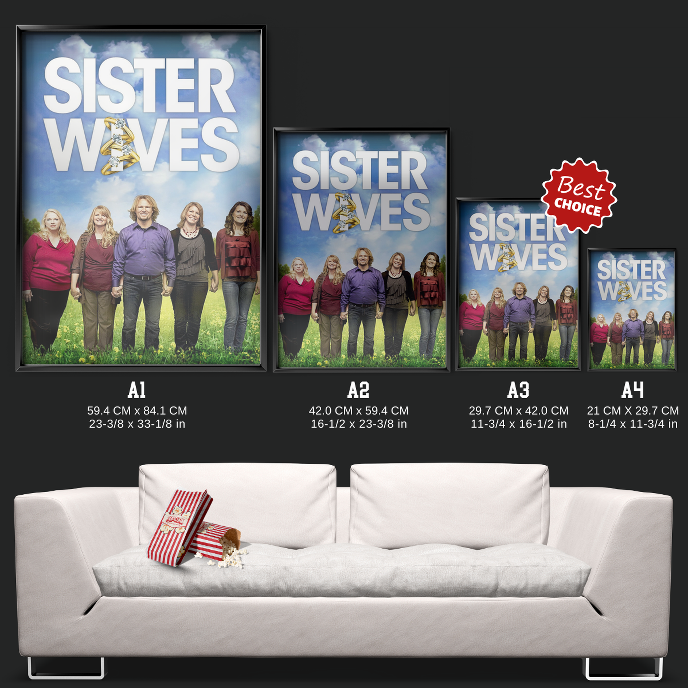 Sister Wives (2010)