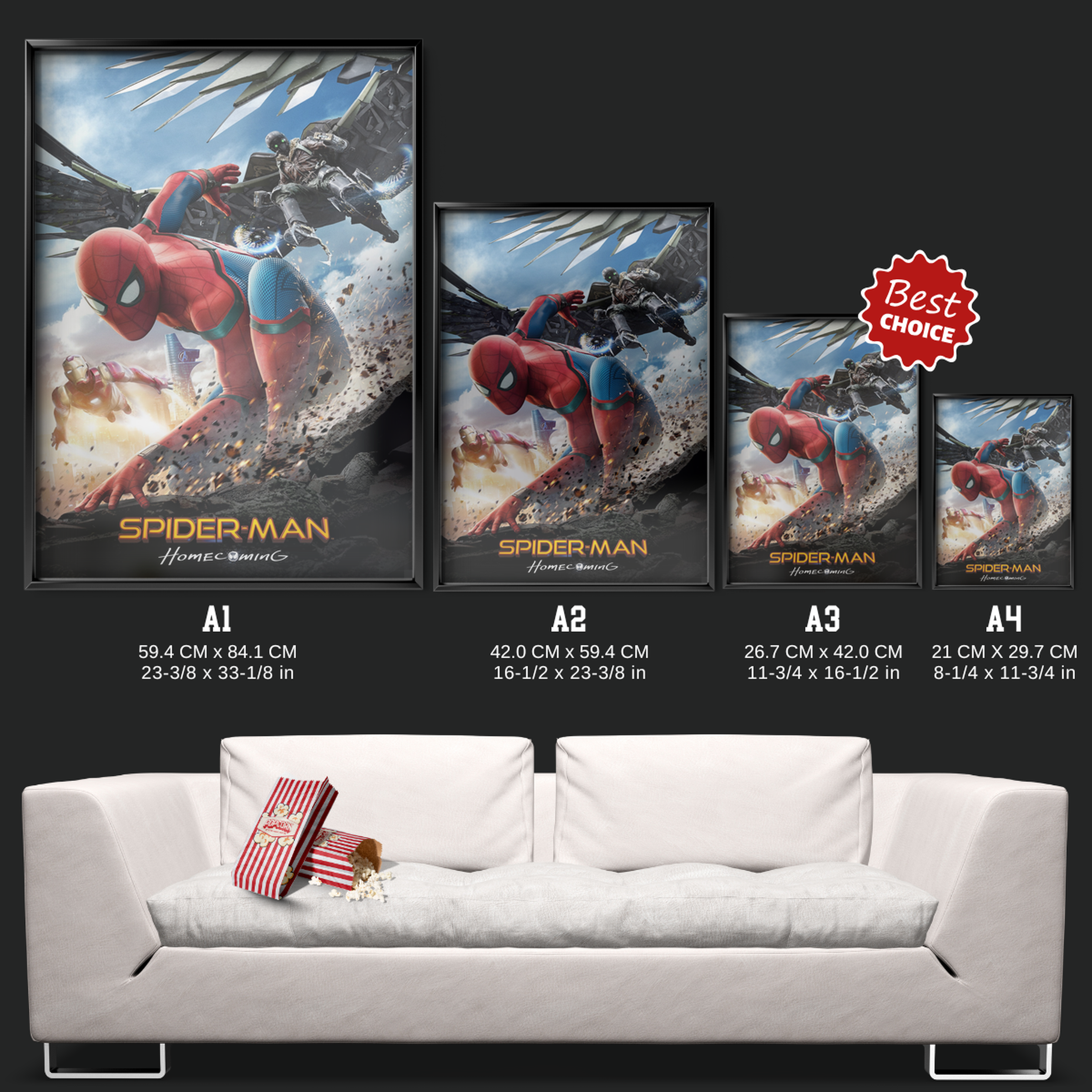 Spider Man Homecoming (2017)