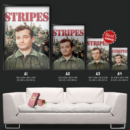 Stripes (1981)