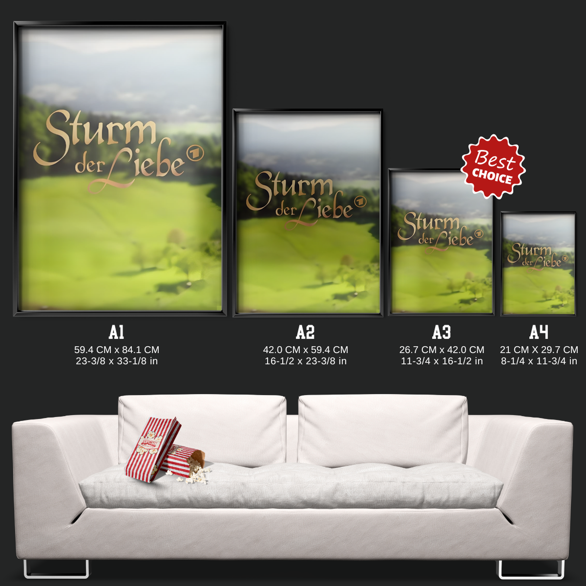 Sturm Der Liebe (2005)