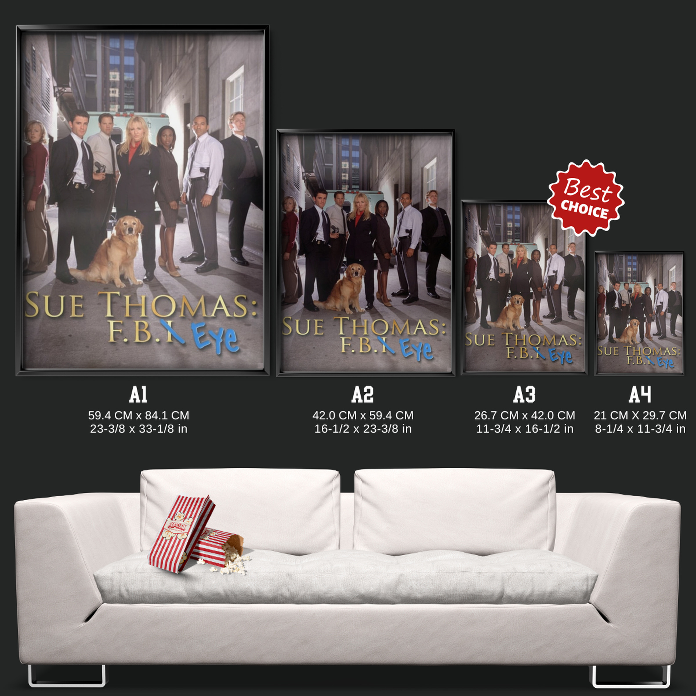 Sue Thomas F.b.eye (2002)