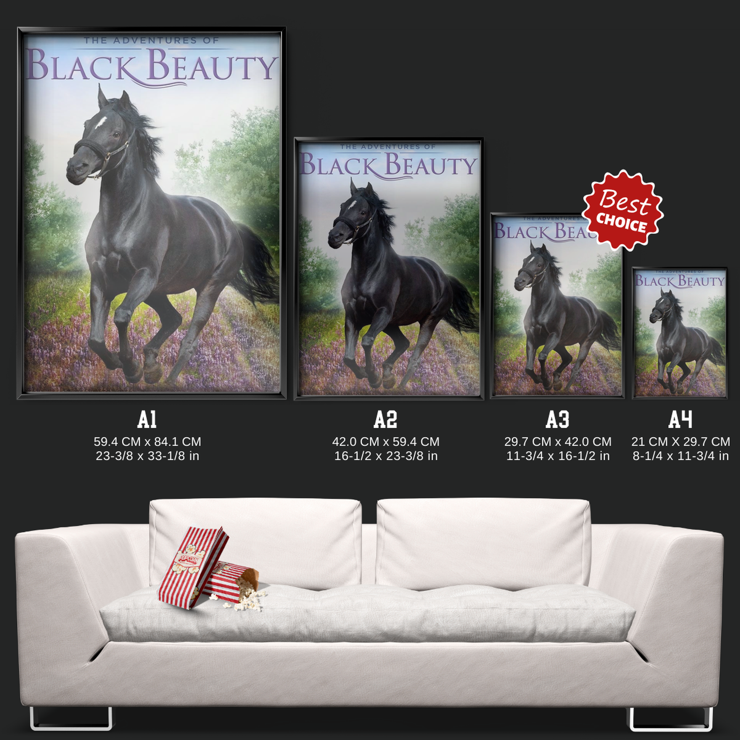 The Adventures Of Black Beauty (1972)
