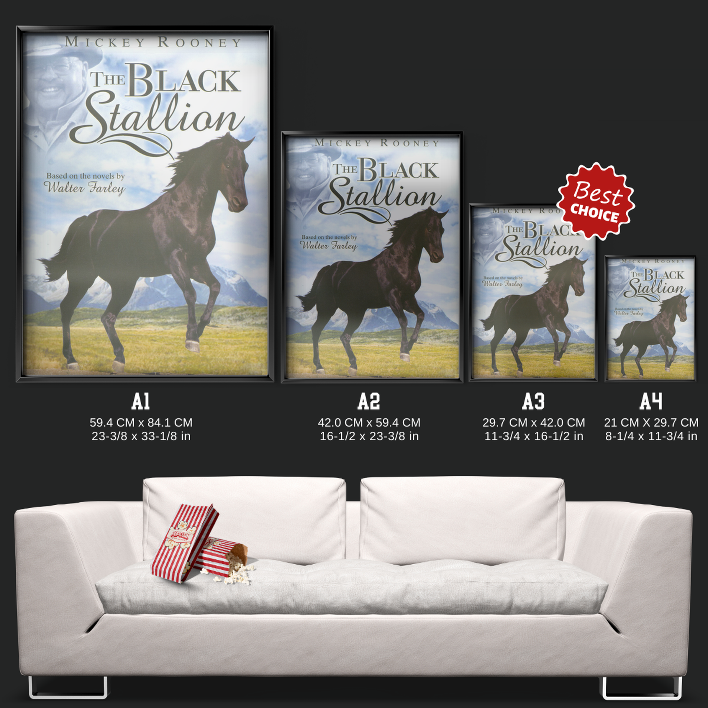 The Adventures Of The Black Stallion (1992)