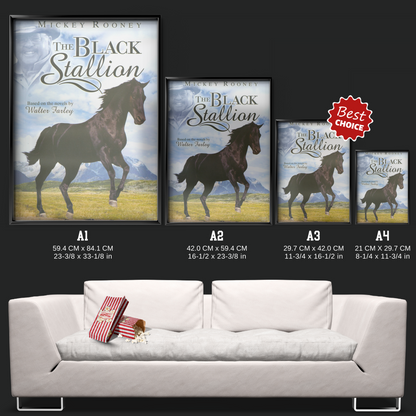 The Adventures Of The Black Stallion (1992)